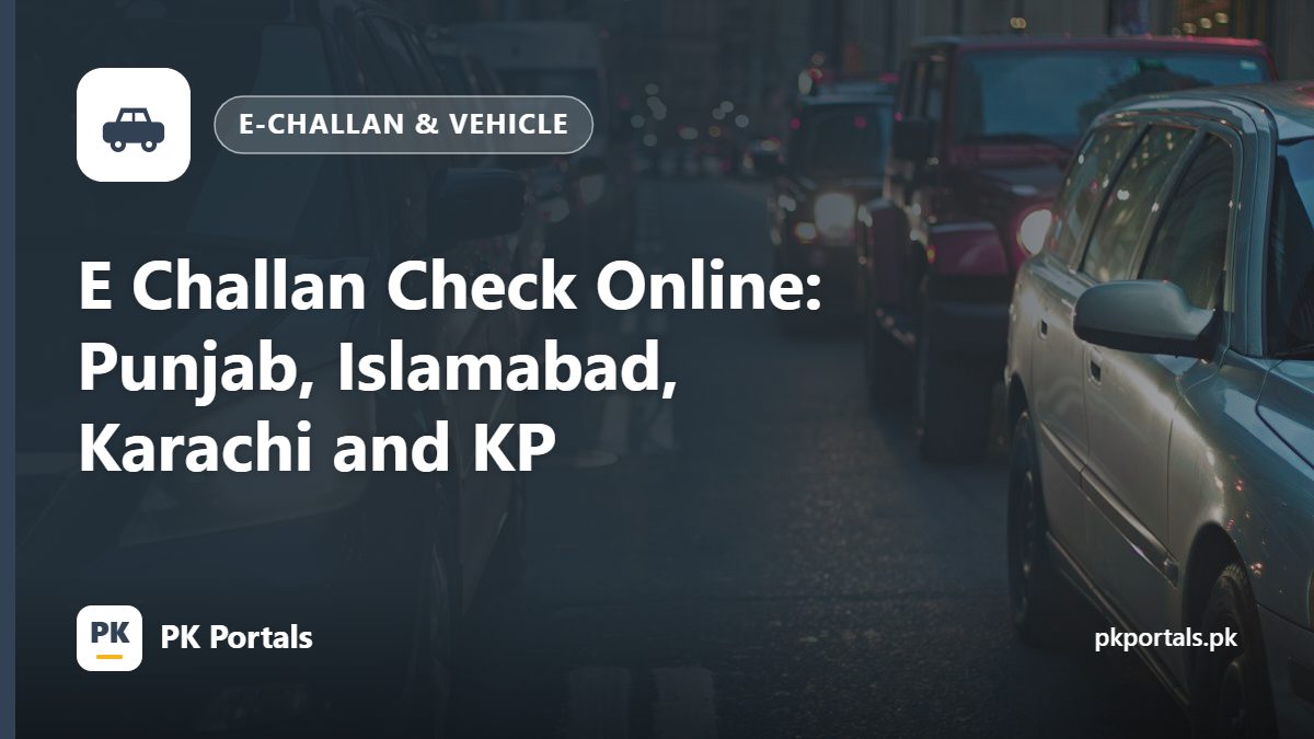 E Challan Check Online: Punjab, Islamabad, Karachi and KP