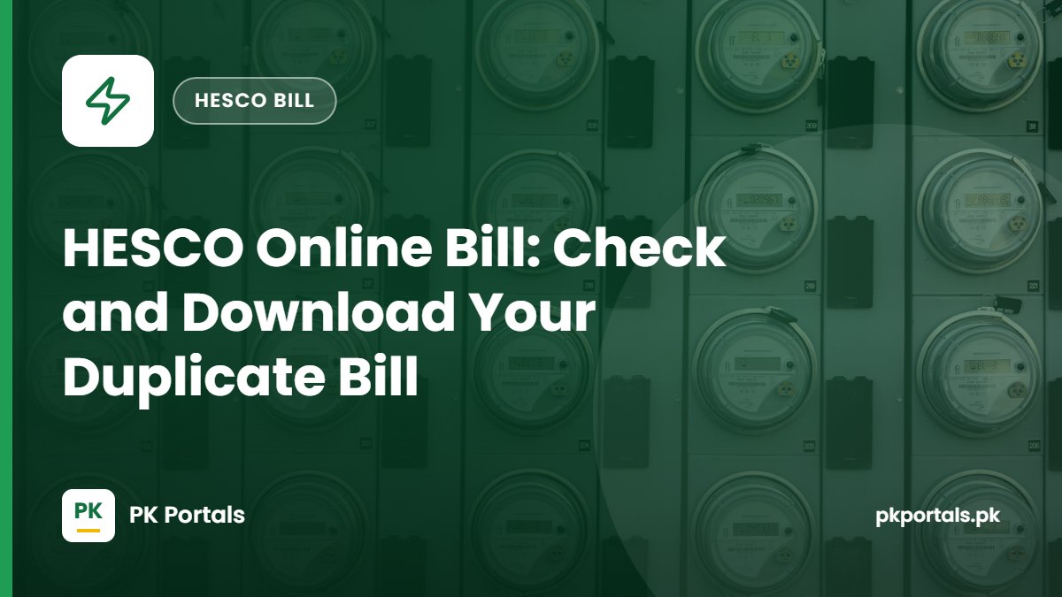 HESCO Online Bill: Check and Download Your Duplicate Bill