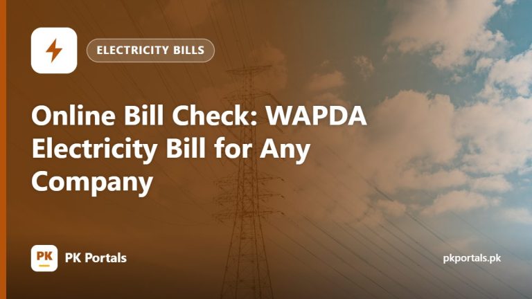 Online Bill Check: WAPDA Electricity Bill for Any Company