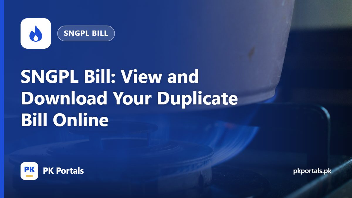 SNGPL Bill: View and Download Your Duplicate Bill Online