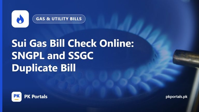Sui Gas Bill Check Online: SNGPL and SSGC Duplicate Bill