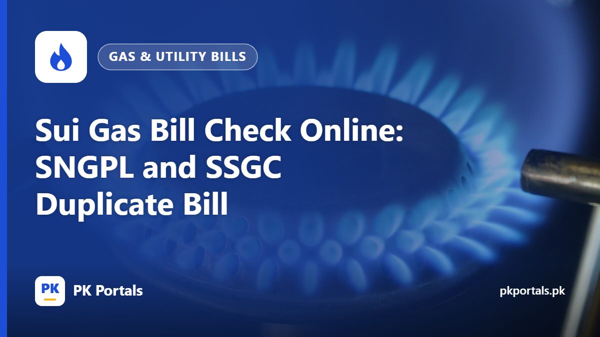 Sui Gas Bill Check Online: SNGPL and SSGC Duplicate Bill